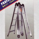 Multi Function Ladder