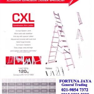 Combination Extra Ladder
