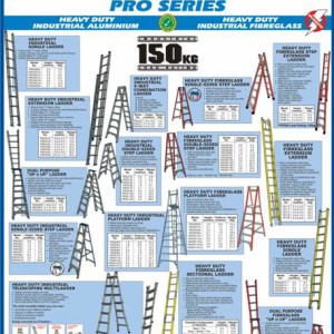 Pro Series Ladder