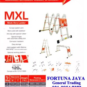 Multi Extra Ladder