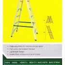 PG-2 Ladder