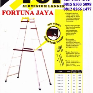 Alumunium Ladder