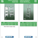 TS dan TT Ladder